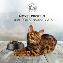 Addiction Duck Royale Grain-Free Dry Cat Food, 10-lb Bag 13 Addiction Duck Royale Grain-Free Dry Cat Food, 10-lb Bag -Furry Feast 792054 PT4. AC SS1800 V1677597976