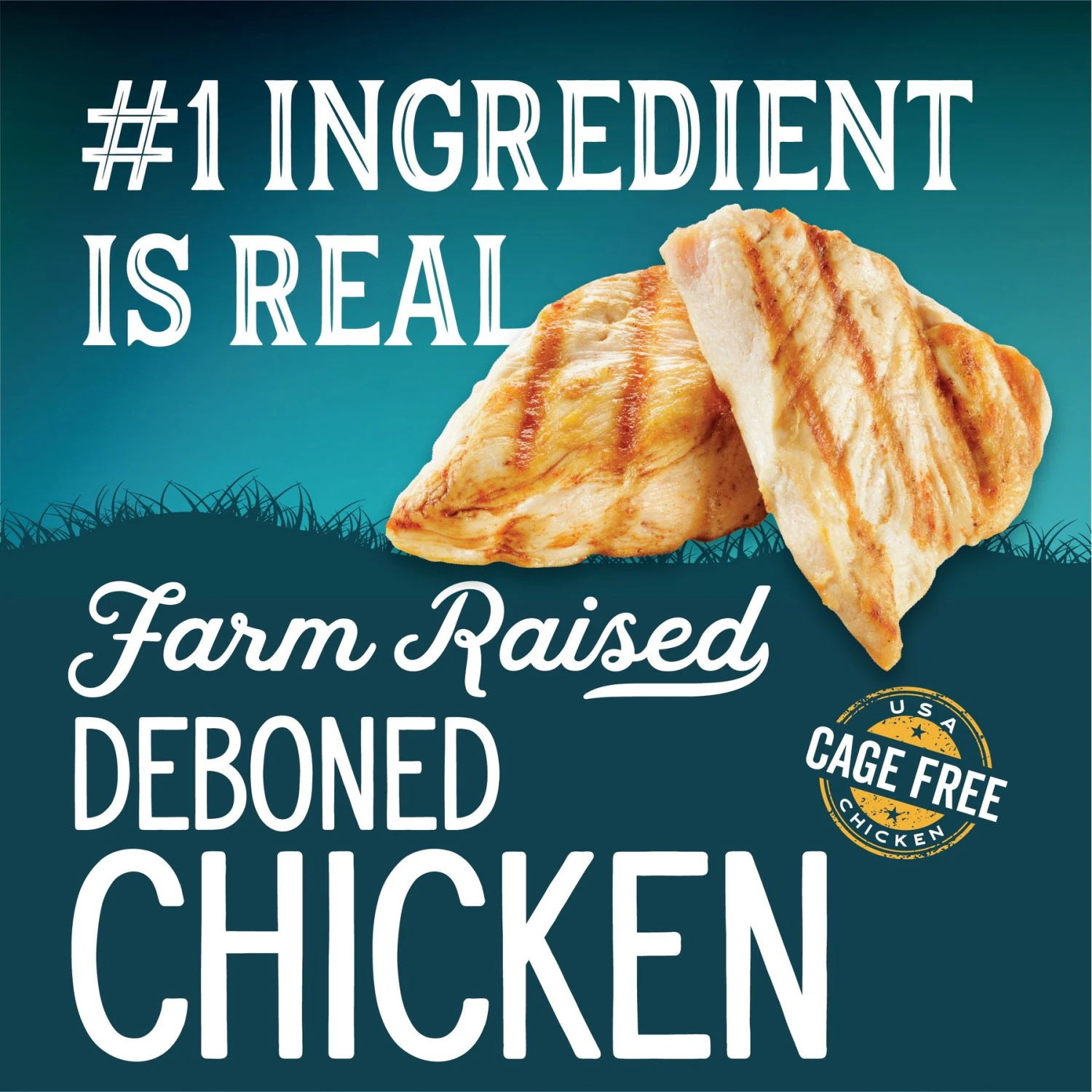 Triumph Wild Spirit Deboned Chicken & Brown Rice Recipe Dry Cat Food 3 Triumph Wild Spirit Deboned Chicken & Brown Rice Recipe Dry Cat Food - Image 3