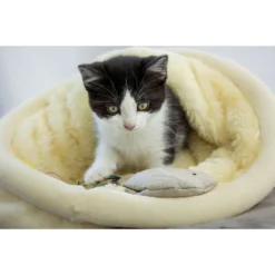 Honest Pet Products Eco Kitty Bird Cat Toy -Furry Feast 797262 PT7. AC SS1800 V1690572688