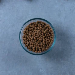 Evolve Classic Deboned Chicken & Brown Rice Recipe Dry Cat Food -Furry Feast 79840 PT4. AC SS1800 V1608681135