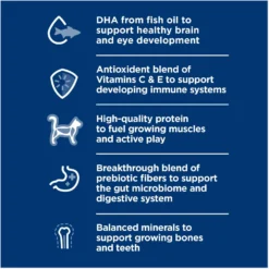 Hill's Science Diet Kitten Dry Ocean Fish & Brown Rice Recipe Dry Cat Food -Furry Feast 804070 PT3. AC SS1800 V1682950491