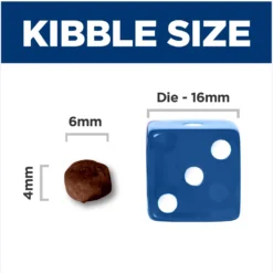 Hill's Science Diet Kitten Dry Ocean Fish & Brown Rice Recipe Dry Cat Food -Furry Feast 804070 PT4. AC SS1800 V1682950492