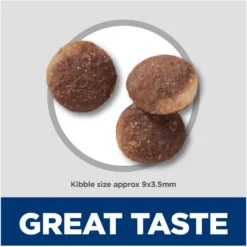 Hill's Science Diet Sensitive Stomach & Sensitive Skin Pollock Meal & Barley Recipe Adult Dry Cat Food -Furry Feast 819934 PT5. AC SS1800 V1681400031