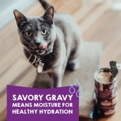 Stella & Chewy's Carnivore Cravings Purrfect Pate Variety Pack Cat Food, 2.8-oz Can, Case Of 12 -Furry Feast 826078 PT4. AC SS1800 V1683553354