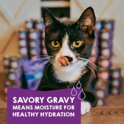 Stella & Chewy's Carnivore Cravings Savory Shreds Variety Pack Cat Food, 2.8-oz Can, Case Of 12 -Furry Feast 826094 PT4. AC SS1800 V1683552372