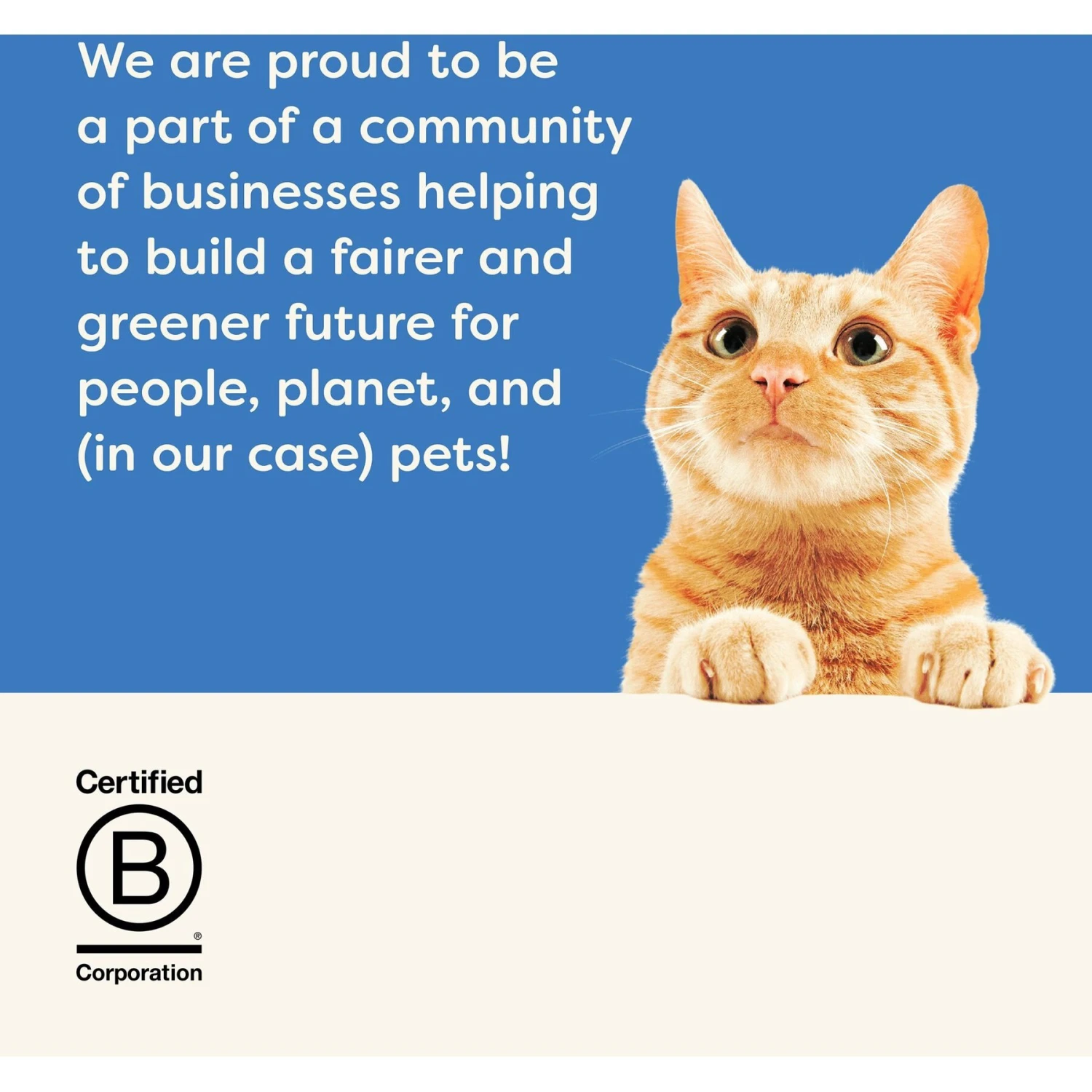 Applaws Limited Ingredient Tuna & Salmon In Broth Canned Wet Cat Food, 5.5-oz Can, Case Of 24 7 Applaws Limited Ingredient Tuna & Salmon In Broth Canned Wet Cat Food, 5.5-oz Can, Case Of 24 - Image 7