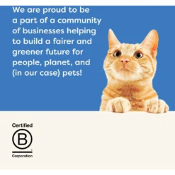 Applaws Tuna With Shrimp In Broth Limited Ingredient Wet Cat Food, 5.3-oz Pouch, Case Of 12 -Furry Feast 836518 PT6. AC SS1800 V1685459836