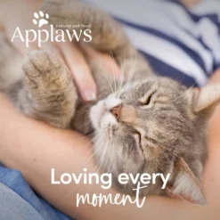 Applaws Tuna With Anchovies In Broth Limited Ingredient Wet Cat Food, 5.3-oz Pouch, Case Of 12 -Furry Feast 836582 PT6. AC SS1800 V1685522340