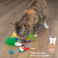 Catstages Garden Fur-ends Plush Catnip Cat Toy, Multicolor, 6 Count -Furry Feast 837478 PT5. AC SS1800 V1681834981