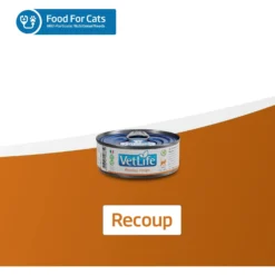 Farmina Vet Life Recoup Recipe Wet Cat Food, 3-oz Can, Case Of 12 -Furry Feast 838182 PT6. AC SS1800 V1703880350