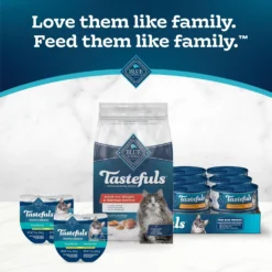 Blue Buffalo Indoor Hairball & Weight Control Chicken & Brown Rice Recipe Adult Dry Cat Food -Furry Feast 84167 PT8. AC SS1800 V1692642520