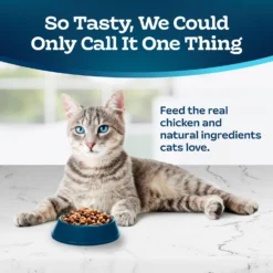 Blue Buffalo Tastefuls Hairball Control Natural Chicken & Brown Rice Recipe Adult 7+ Dry Cat Food -Furry Feast 84170 PT2. AC SS1800 V1692642814