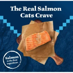 Blue Buffalo Wilderness Salmon Recipe Grain-Free Dry Cat Food -Furry Feast 84281 PT2. AC SS1800 V1689282790