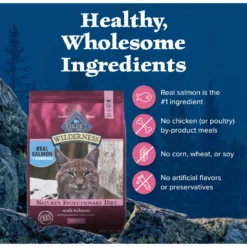 Blue Buffalo Wilderness Salmon Recipe Grain-Free Dry Cat Food -Furry Feast 84281 PT5. AC SS1800 V1689356431