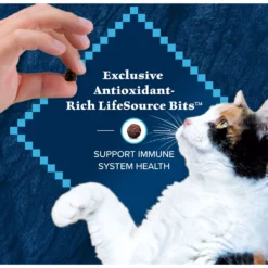 Blue Buffalo Wilderness Salmon Recipe Grain-Free Dry Cat Food -Furry Feast 84281 PT6. AC SS1800 V1689357650