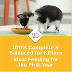 Kitten Chow Nurture Muscle & Brain Development Dry Cat Food & Fancy Feast Tender Feast Variety Pack Canned Kitten Food -Furry Feast 854286 PT8. AC SS1800 V1683743522
