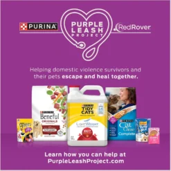 Purina Friskies Seafood & Chicken Pate Favorites Variety Pack Wet Cat Food, 5.5-oz Can, Case Of 40 & Purina Cat Chow Naturals Original With Added Vitamins, Minerals & Nutrients Dry Cat Food -Furry Feast 854326 PT7. AC SS1800 V1683744202