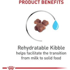 Royal Canin Feline Health Nutrition Mother & Babycat Dry Cat Food & Royal Canin Feline Health Nutrition Mother & Babycat Ultra Soft Mousse In Sauce Canned Cat Food -Furry Feast 854358 PT4. AC SS1800 V1683744317