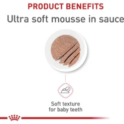 Royal Canin Feline Health Nutrition Mother & Babycat Dry Cat Food & Royal Canin Feline Health Nutrition Mother & Babycat Ultra Soft Mousse In Sauce Canned Cat Food -Furry Feast 854358 PT8. AC SS1800 V1683744208