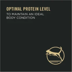 Purina Pro Plan Focus Healthy Metabolism Formula Chicken Entrée In Gravy Adult Canned Cat Food -Furry Feast 86227 PT5. AC SS1800 V1636673801