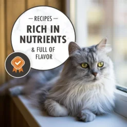 Nutro Wholesome Essentials Indoor Chicken & Brown Rice Recipe Adult Dry Cat Food -Furry Feast 86712 PT8. AC SS1800 V1702666063