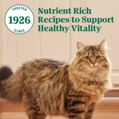 Nutro Wholesome Essentials Hairball Control Chicken & Brown Rice Recipe Adult Dry Cat Food -Furry Feast 86768 PT8. AC SS1800 V1702665822