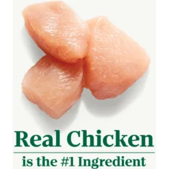 Nutro Wholesome Essentials Chicken & Brown Rice Recipe Senior Dry Cat Food -Furry Feast 86792 PT3. AC SS1800 V1702666054