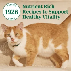 Nutro Wholesome Essentials Chicken & Brown Rice Recipe Senior Dry Cat Food -Furry Feast 86792 PT8. AC SS1800 V1702666050