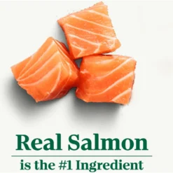 Nutro Wholesome Essentials Adult Salmon & Brown Rice Recipe Dry Cat Food -Furry Feast 86818 PT3. AC SS1800 V1702666116