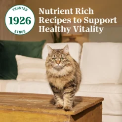 Nutro Wholesome Essentials Adult Salmon & Brown Rice Recipe Dry Cat Food -Furry Feast 86818 PT6. AC SS1800 V1702666124
