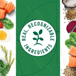 Nutro Wholesome Essentials Adult Salmon & Brown Rice Recipe Dry Cat Food -Furry Feast 86818 PT7. AC SS1800 V1702666126