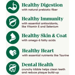 Nutro Wholesome Essentials Adult Salmon & Brown Rice Recipe Dry Cat Food -Furry Feast 86818 PT8. AC SS1800 V1702666129