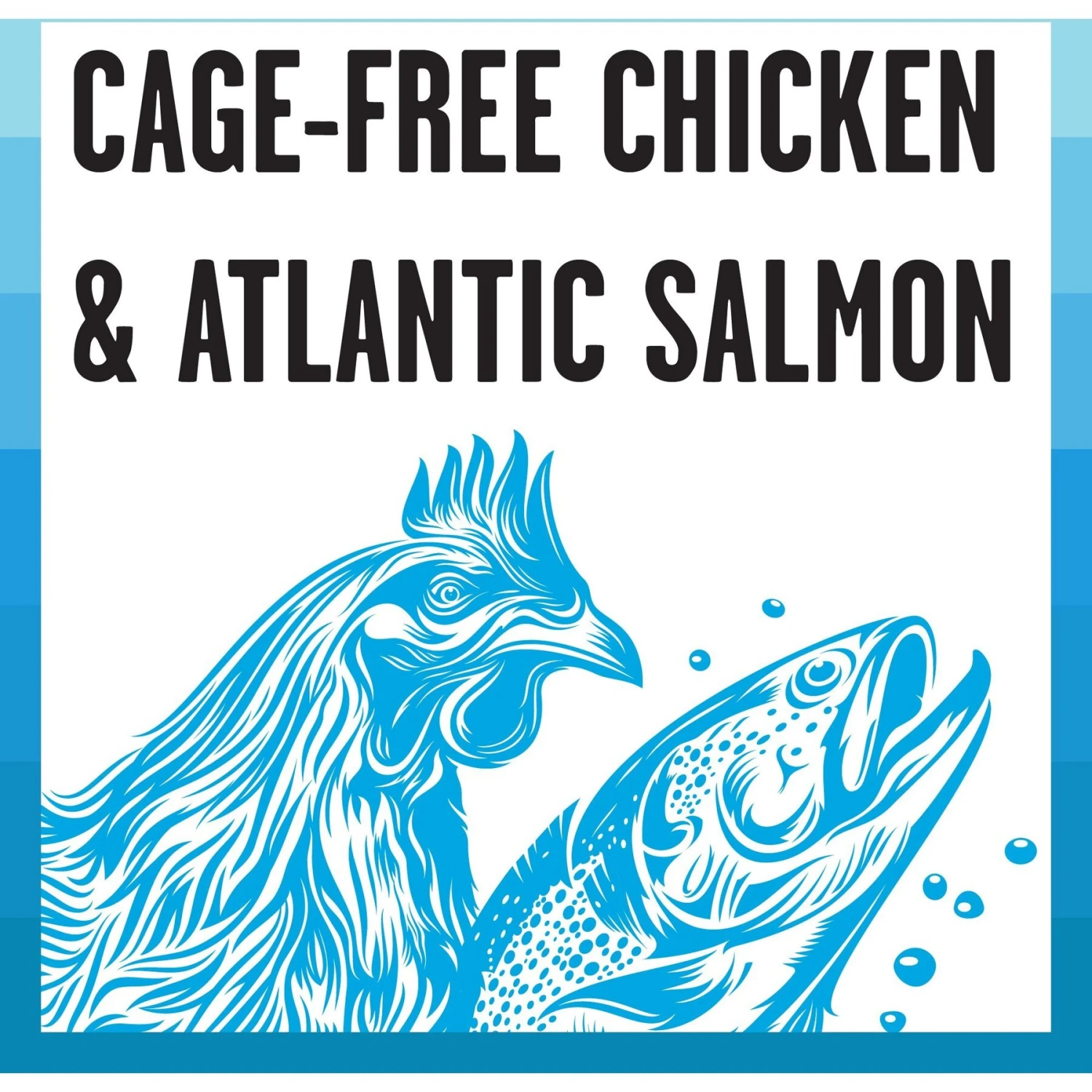 BIXBI Rawbble Dry Food Chicken Salmon Recipe For Indoor Cats, 3-lb Bag 6 BIXBI Rawbble Dry Food Chicken Salmon Recipe For Indoor Cats, 3-lb Bag - Image 6