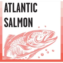 BIXBI Rawbble Dry Food Salmon Recipe For Cats, 10-lb Bag -Furry Feast 871014 PT4. AC SS1800 V1691515655