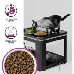 BIXBI Rawbble Dry Food Chicken Digestive Health Recipe For Cats, 3-lb Bag -Furry Feast 871062 PT2. AC SS1800 V1691515542