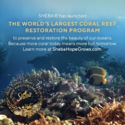 Sheba Perfect Portions Grain-Free Tender Whitefish & Tuna Entree Pate Adult Wet Cat Food Trays 13 Sheba Perfect Portions Grain-Free Tender Whitefish & Tuna Entree Pate Adult Wet Cat Food Trays -Furry Feast 87818 PT4. AC SS1800 V1703276624