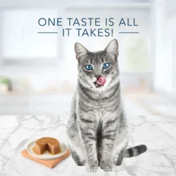 Blue Buffalo Tastefuls Natural Pate Chicken Entree Entreetree Wet Cat Food, 5.5-oz Can, Case Of 12 -Furry Feast 879214 PT3. AC SS1800 V1687357994