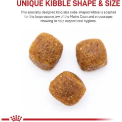 Royal Canin Feline Breed Nutrition Maine Coon Adult Dry Cat Food -Furry Feast 88064 PT3. AC SS1800 V1696345013