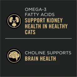 Purina Pro Plan Vital Systems 4-in-1 Formula Salmon & Rice Formula Senior Cat Food Dry -Furry Feast 886030 PT7. AC SS1800 V1688580501