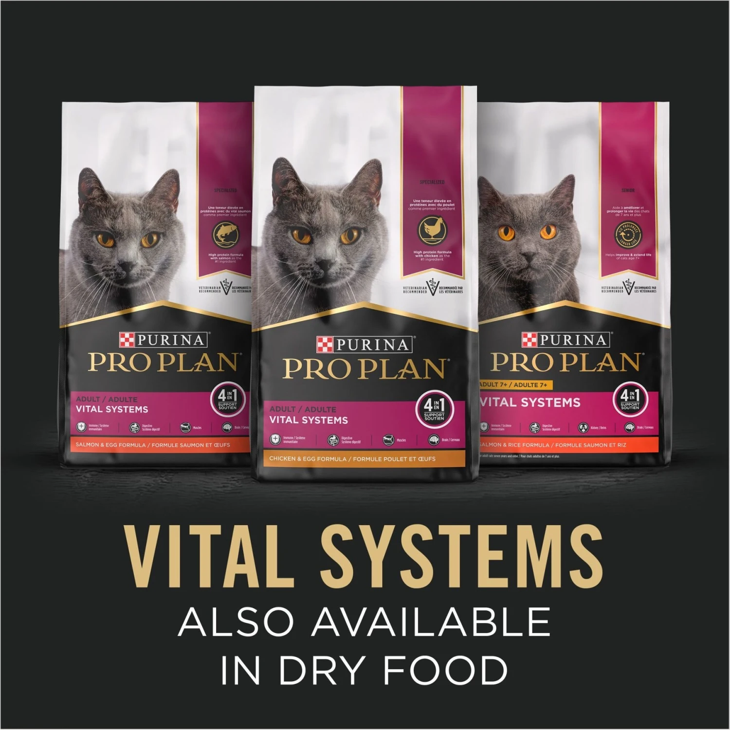 Purina Pro Plan Vital Systems Beef Entree In Wet Cat Food Gravy, 3-oz Can, Case Of 24 4 Purina Pro Plan Vital Systems Beef Entree In Wet Cat Food Gravy, 3-oz Can, Case Of 24 - Image 4