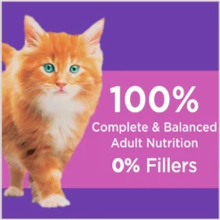 Iams ProActive Health Kitten Dry Cat Food & Temptations Salmon & Dairy Flavor Crunchy & Soft Kitten Treats -Furry Feast 894270 PT4. AC SS1800 V1687200652