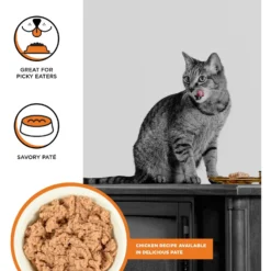 BIXBI Rawbble Chicken Pate Wet Food For Cats, 2.75-oz Can, Case Of 24 -Furry Feast 895278 PT1. AC SS1800 V1689014654