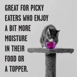 BIXBI Rawbble Chicken Pate Wet Food For Cats, 2.75-oz Can, Case Of 24 -Furry Feast 895278 PT3. AC SS1800 V1689010945