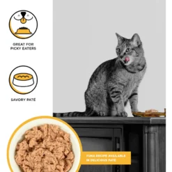BIXBI Rawbble Tuna Pate Wet Food For Cats, 2.75-oz Can, Case Of 24 -Furry Feast 895310 PT1. AC SS1800 V1689014993