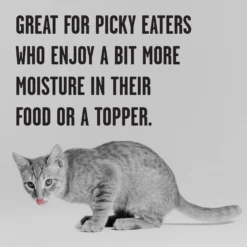 BIXBI Rawbble Chicken Pate Wet Food For Kittens, 2.75-oz Can, Case Of 24 -Furry Feast 895326 PT4. AC SS1800 V1689010876