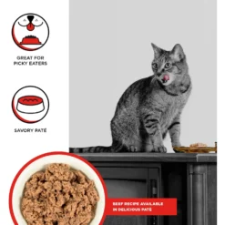 BIXBI Rawbble Beef Pate Wet Food For Cats, 5-oz Can, Case Of 24 -Furry Feast 895422 PT1. AC SS1800 V1689015040