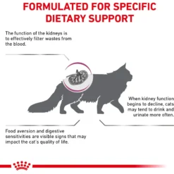 Royal Canin Veterinary Diet Adult Renal Support F Dry Cat Food -Furry Feast 90665 PT3. AC SS1800 V1701881717