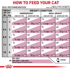 Royal Canin Veterinary Diet Adult Renal Support F Dry Cat Food -Furry Feast 90665 PT8. AC SS1800 V1701881777