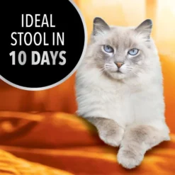 Iams Advanced Health Healthy Digestion Turkey & Chicken Recipe Adult Dry Cat Food 11 Iams Advanced Health Healthy Digestion Turkey & Chicken Recipe Adult Dry Cat Food -Furry Feast 908326 PT2. AC SS1800 V1689362928