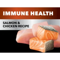 Iams Advanced Health Immune Health Salmon & Chicken Recipe Adult Dry Cat Food -Furry Feast 908358 PT3. AC SS1800 V1701882865